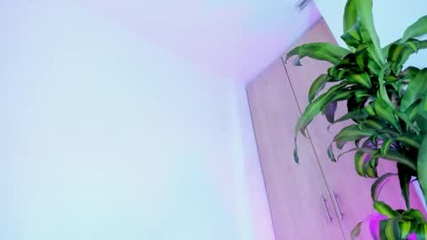 Snapshot of missangeldust chatting on December 2025 11:37:01 AM missangeldust online show from December 2025 11:37:01 AM