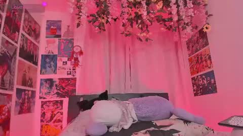 Vane online show from July 2026 01:08:01 AM