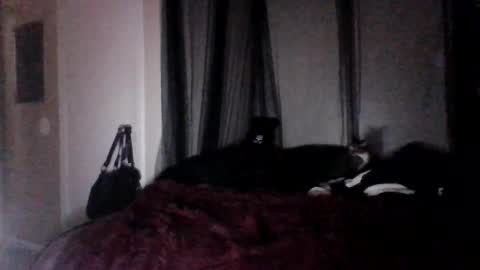 Snapshot of missgospelz_entertainmentz chatting on February 2025 02:21:01 AM missgospel online show from February 2025 02:21:01 AM