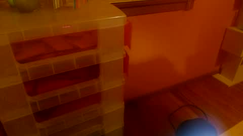 MissKittyFox online show from June 2026 04:56:01 AM