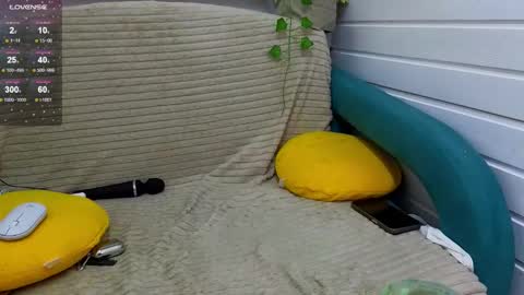 . online show from October 2025 07:00:02 AM