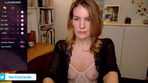 Snapshot of misstheacamille chatting on January 2025 10:49:02 PM MissThea online show from January 2025 10:49:02 PM