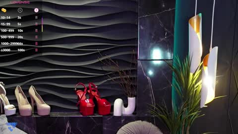 Darsy online show from January 2025 05:19:01 PM