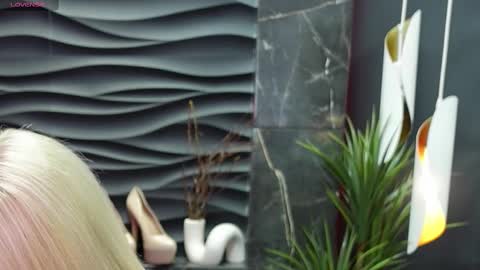 Darsy online show from February 2025 01:44:02 PM