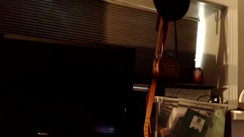 mistressdannydarko online show from June 2026 11:18:01 PM