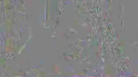 Snapshot of mistressmystii chatting on July 2026 03:02:02 AM Mistress Mystii online show from July 2026 03:02:02 AM