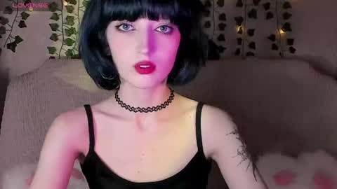 Misty  -  mistymarlow online show from June 2026 12:04:02 PM