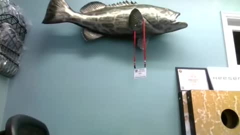 Snapshot of mjd666 chatting on September 2025 07:46:02 PM mjd666 online show from September 2025 07:46:02 PM