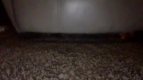 SexyRed online show from September 2025 06:53:01 PM