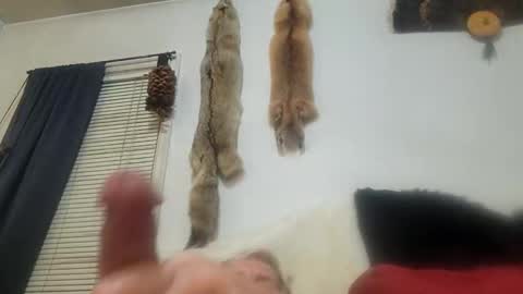 Snapshot of mjohnmor2 chatting on March 2025 02:04:02 AM cum show j online show from March 2025 02:04:02 AM