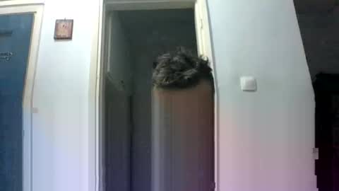 mmpempis81 online show from September 2025 07:19:02 PM