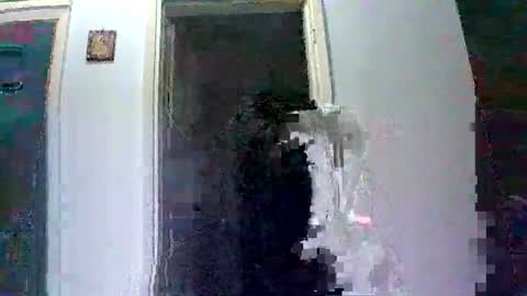 mmpempis81 online show from October 2025 06:17:02 PM