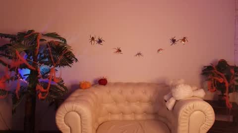 hey meet with me online show from November 2025 02:44:01 AM