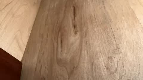 Snapshot of moeline chatting on October 2025 06:58:02 AM Jack online show from October 2025 06:58:02 AM