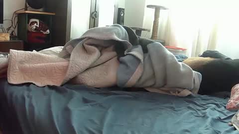 Snapshot of mojoe420 chatting on November 2025 04:43:02 PM mojoe420 online show from November 2025 04:43:02 PM