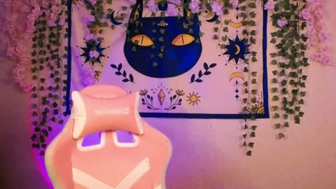 Snapshot of molly_kisss chatting on May 2026 06:29:01 AM molly_kisss online show from May 2026 06:29:01 AM