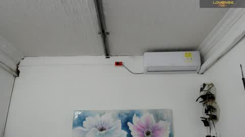 Celeste online show from January 2025 05:08:01 PM