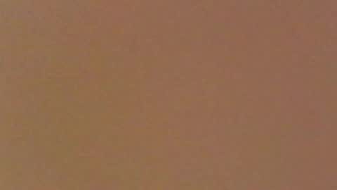 moma1111 online show from April 2026 04:22:01 PM