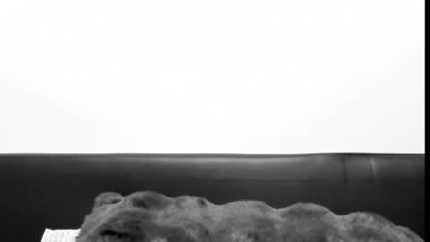 monicacure online show from October 2025 03:16:01 PM