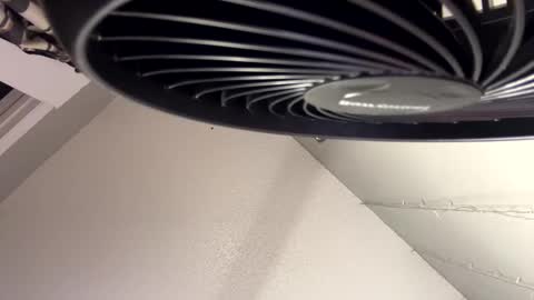 Monica online show from December 2024 05:19:01 PM