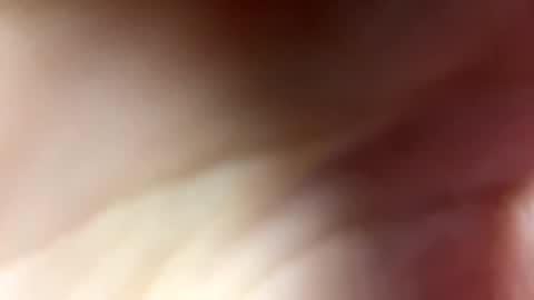 Monica online show from December 2024 08:36:02 AM