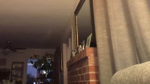 Monkee Dance online show from February 2025 02:17:02 AM