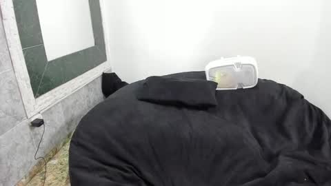 monkeyd_66 online show from February 2025 09:10:01 AM