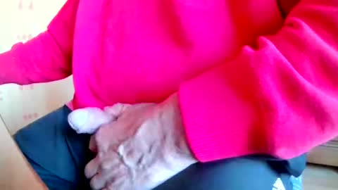 mookie2 online show from March 2026 04:55:01 PM