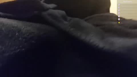 Moonsire online show from January 2025 06:28:01 AM