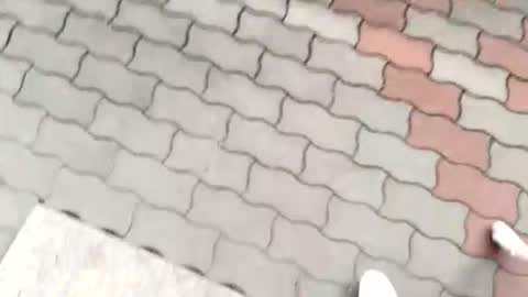 moos1 online show from September 2025 12:16:02 PM