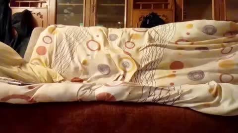 Snapshot of mospeleu chatting on December 2024 06:01:01 AM Nomadu online show from December 2024 06:01:01 AM