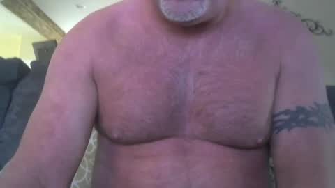 Snapshot of motorguy08 chatting on January 2025 08:43:02 PM motorguy08 online show from January 2025 08:43:02 PM