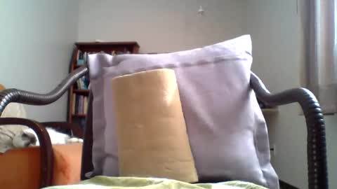Snapshot of mountfort1967 chatting on July 2026 02:52:01 PM mountfort1967 online show from July 2026 02:52:01 PM