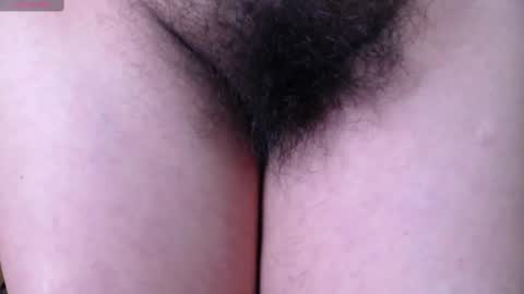 moxa hot online show from March 2025 05:29:02 PM