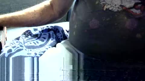 mphmsg7 online show from June 2026 04:23:01 PM