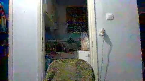 mppempis81 online show from December 2025 03:32:02 PM