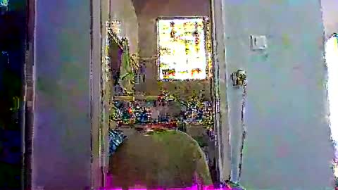 mppempis81 online show from January 2026 07:13:01 AM