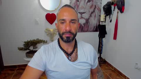 Snapshot of mr_maik22 chatting on February 2025 11:00:02 AM mr_maik22 online show from February 2025 11:00:02 AM