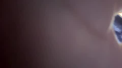 Snapshot of mrbone4790 chatting on January 2025 07:31:02 PM mrbone4790 online show from January 2025 07:31:02 PM