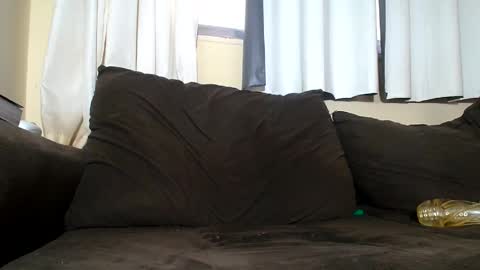 mr brown online show from December 2024 05:39:01 PM