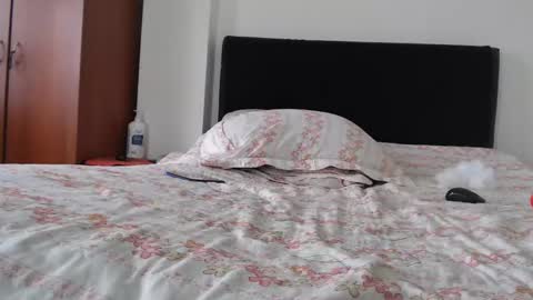 Snapshot of mrcock_col chatting on September 2025 06:43:02 PM mrcock_col online show from September 2025 06:43:02 PM