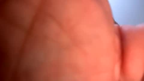 mrfrankfuckforfree online show from January 2025 05:26:02 AM