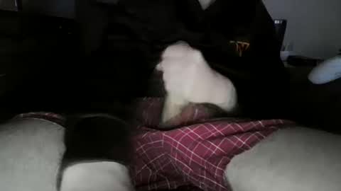 Snapshot of mrgummybear18 chatting on October 2025 09:59:01 PM mrgummybear18 online show from October 2025 09:59:01 PM