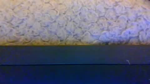 mrking8inch online show from June 2026 11:09:02 PM