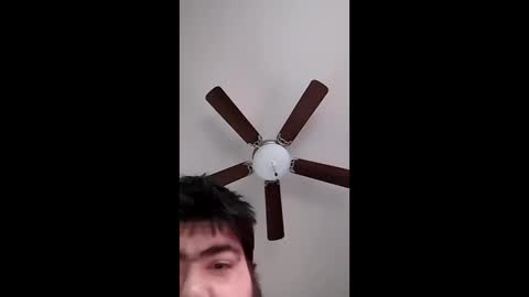 mrorange50187 online show from December 2024 08:07:02 PM