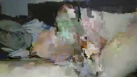 Snapshot of mrpapichulo4life chatting on February 2026 11:20:01 AM mrpapichulo4life online show from February 2026 11:20:01 AM