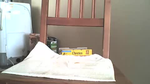 Longshot online show from October 2025 11:35:01 PM