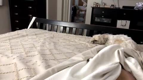 Snapshot of mrrogue chatting on November 2025 05:20:01 AM mrrogue online show from November 2025 05:20:01 AM