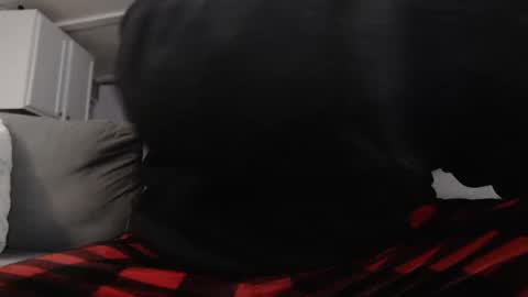 Snapshot of mrshlongboy21 chatting on January 2025 02:47:02 AM mrshlongboy21 online show from January 2025 02:47:02 AM