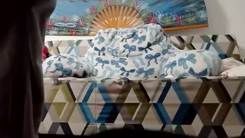 ms2wet4u1000 online show from November 2025 12:16:01 PM